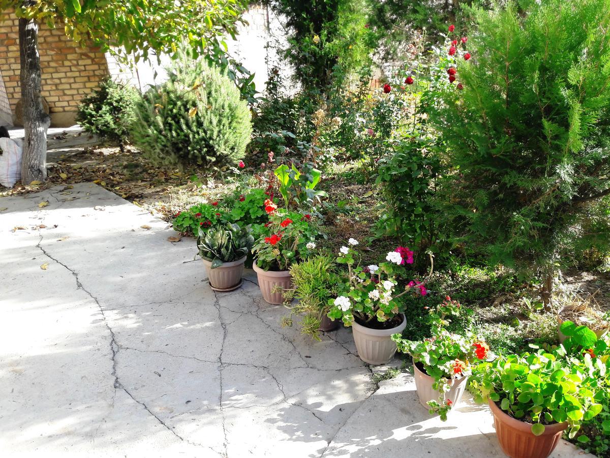 Rahat Guest House & Hostel In Toktogul Luaran gambar